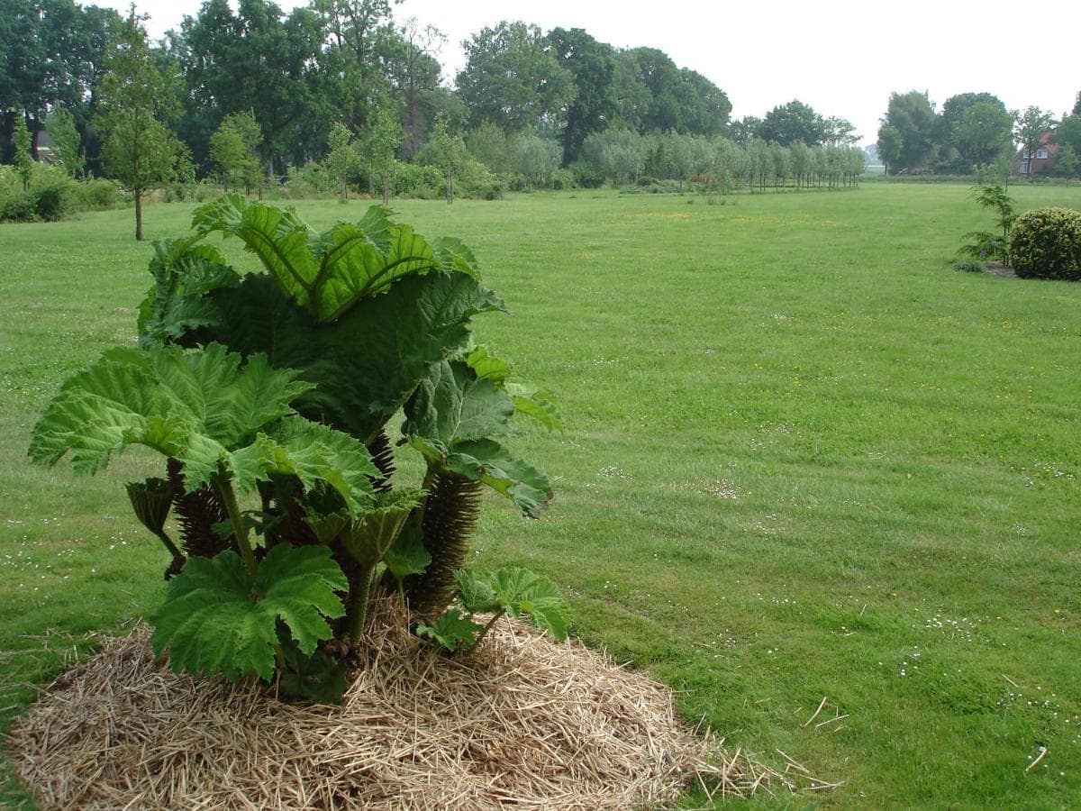 De Ooldershoeve, foto 11