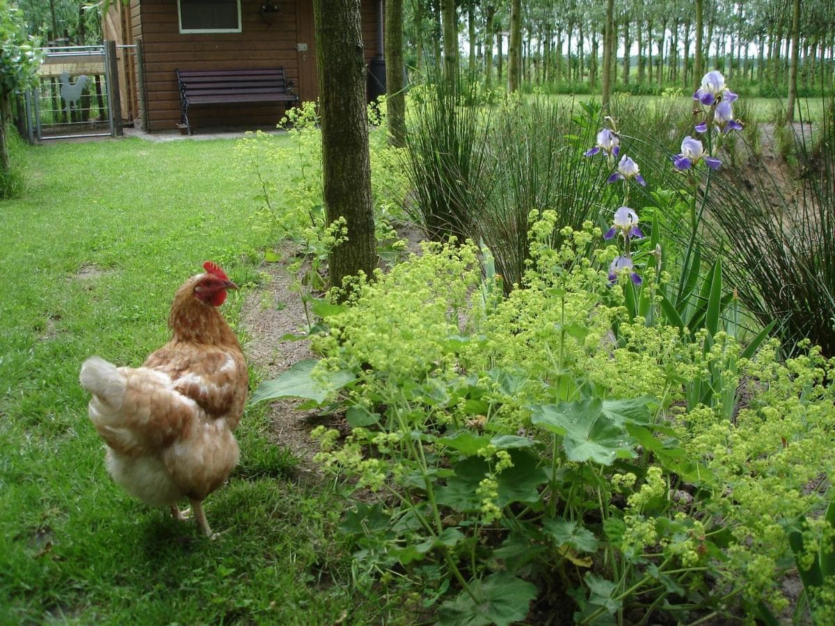 De Ooldershoeve, foto 8